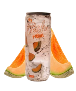 Fresh Drink Melon 24 x 330ml zzgl. DPG-Pfand