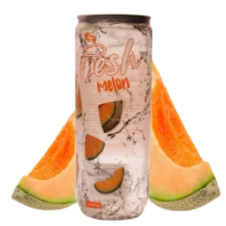Fresh Drink Melon 24 x 330ml zzgl. DPG-Pfand